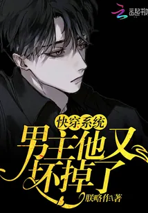 《快穿系统：男主他又坏掉了》小说封面