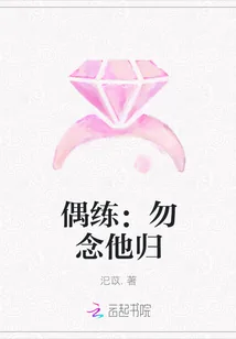 《偶练：勿念他归》小说封面