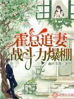 《霍总追妻战斗力爆棚》小说封面