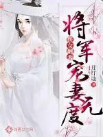 《医女翻天：将军大人宠妻无度》小说封面