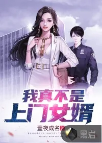 《我真不是上门女婿》小说封面