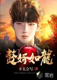 《赘婿如龙》小说封面