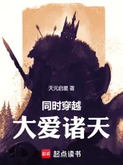 《同时穿越:大爱诸天》小说封面