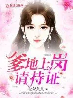 《爹地上岗请持证》小说封面