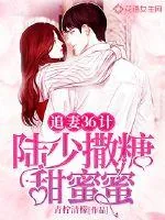 《追妻36计：陆少撒糖甜蜜蜜》小说封面