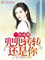 《一误成婚：兜兜转转还是你》小说封面