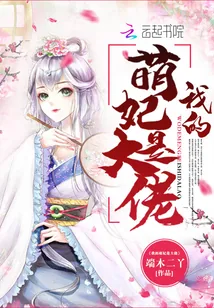 《我的萌妃是大佬》小说封面