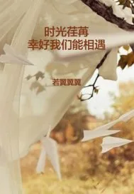 《时光荏苒幸好我们能相遇》小说封面