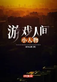 《游戏人间：小人物》小说封面