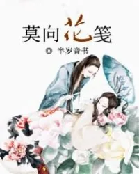 《莫向花笺》小说封面