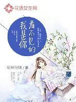 《看不见的我是你》小说封面