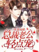 《诱妻成婚：总裁老公轻点宠》小说封面