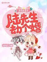 《头号追妻令：陆先生劫个婚》小说封面