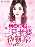 《总裁留步：一只老婆待领养》小说封面