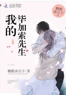 《我的毕加索先生》小说封面