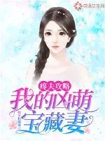 《疼夫攻略：我的凶萌宝藏妻》小说封面
