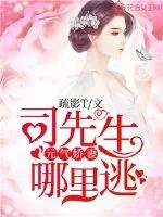 《元气娇妻，司先生哪里逃》小说封面