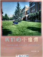 《我们的小憧憬》小说封面