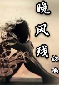 《晚风残》小说封面