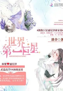 《世界第一巨星》小说封面