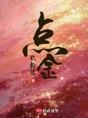 《点金》小说封面