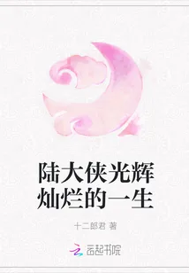 《陆大侠光辉灿烂的一生》小说封面