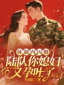 《体制内闪婚，陆队你媳妇又孕吐了》小说封面
