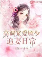 《高调宠爱:顾少追妻日常》小说封面