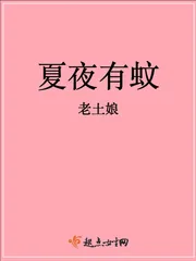 《夏夜有蚊》小说封面