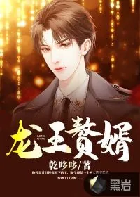 《龙王赘婿》小说封面