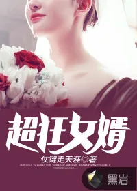 《超狂女婿》小说封面