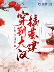 《穿到大汉搞基建》小说封面