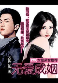 《无爱成姻》小说封面