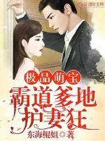 《极品萌宝：霸道爹地护妻狂》小说封面