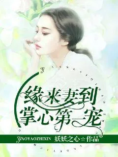 《缘来妻到，掌心第一宠》小说封面