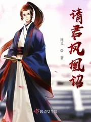 《请君凤凰诏》小说封面