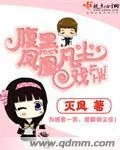 《腹黑凤凰戏凡尘》小说封面