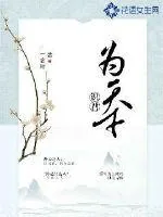 《识君为天下》小说封面