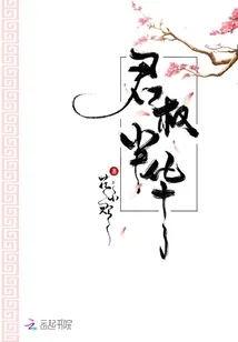《君权半华》小说封面