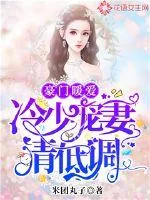 《豪门暖爱：冷少宠妻请低调》小说封面