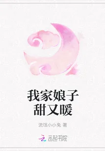 《我家娘子甜又暖》小说封面