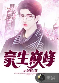 《豪生巅峰》小说封面