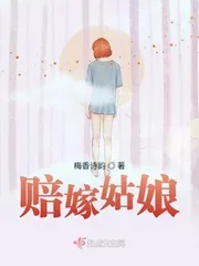 《赔嫁姑娘》小说封面