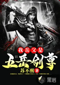《我岳父是五岳剑尊》小说封面
