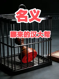 《名义，哪来的汉大帮》小说封面