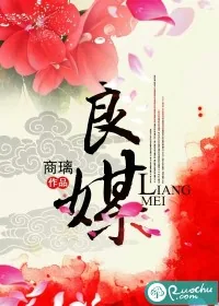 《良媒》小说封面