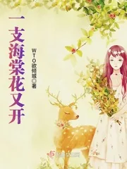 《一支海棠花又开》小说封面