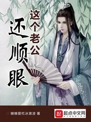 《这个老公还顺眼》小说封面