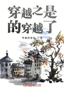 《穿越之是的穿越了》小说封面
