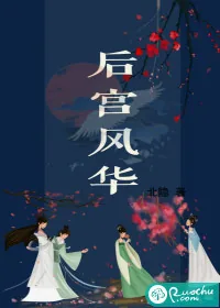 《后宫风华》小说封面